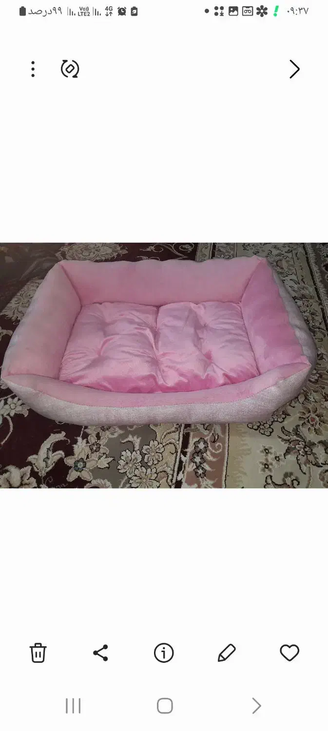 جای خواب سگ|لوازم جانبی حیوانات|شیراز, کوشک میدان|دیوار