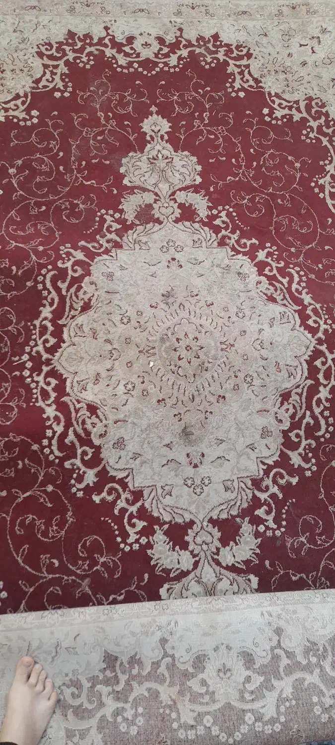 فرش ۶متری|فرش|قم, شهر قائم|دیوار