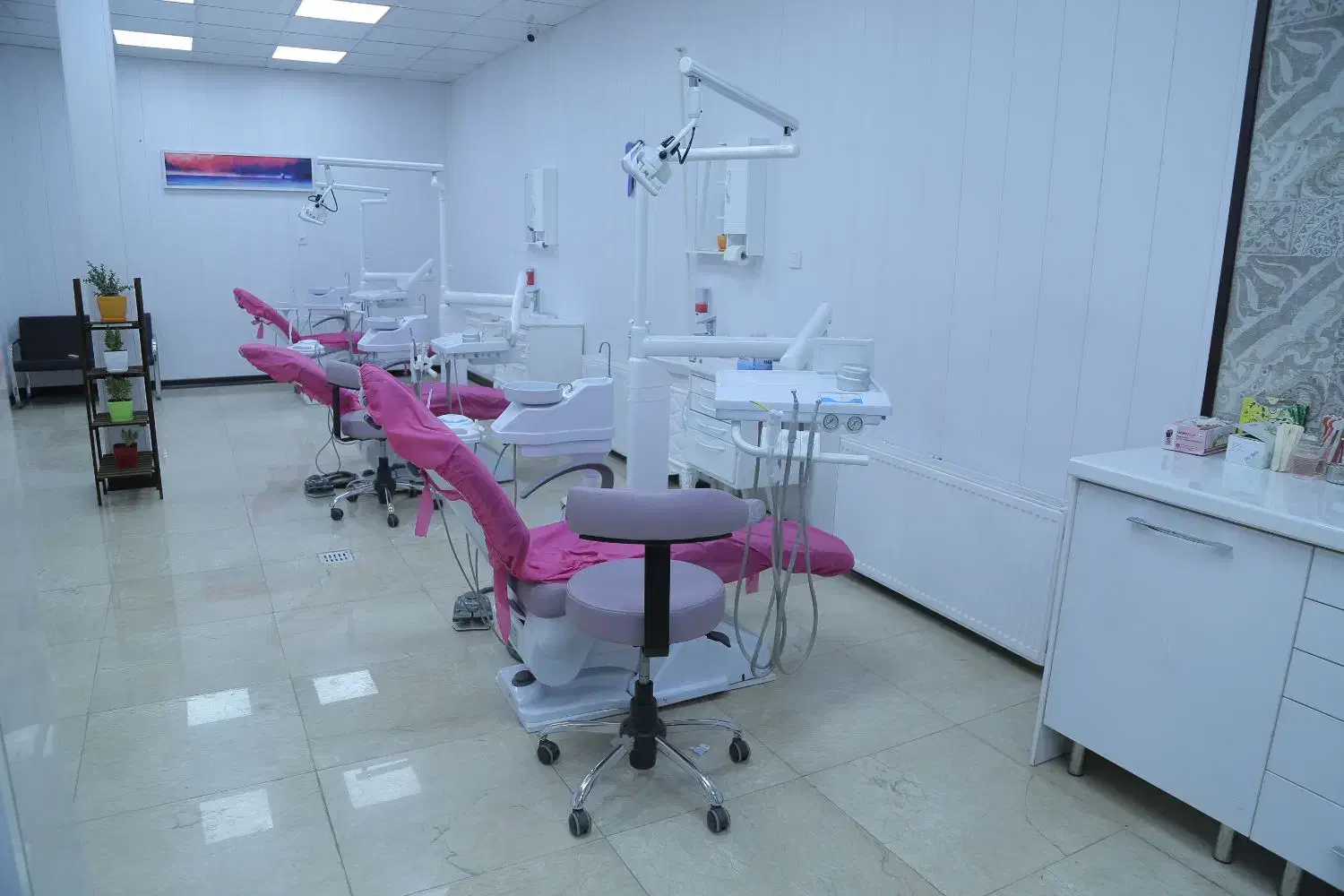 دستیار دندانپزشک|استخدام درمانی، زیبایی، بهداشتی|پاکدشت, پاکدشت (مامازند)|دیوار