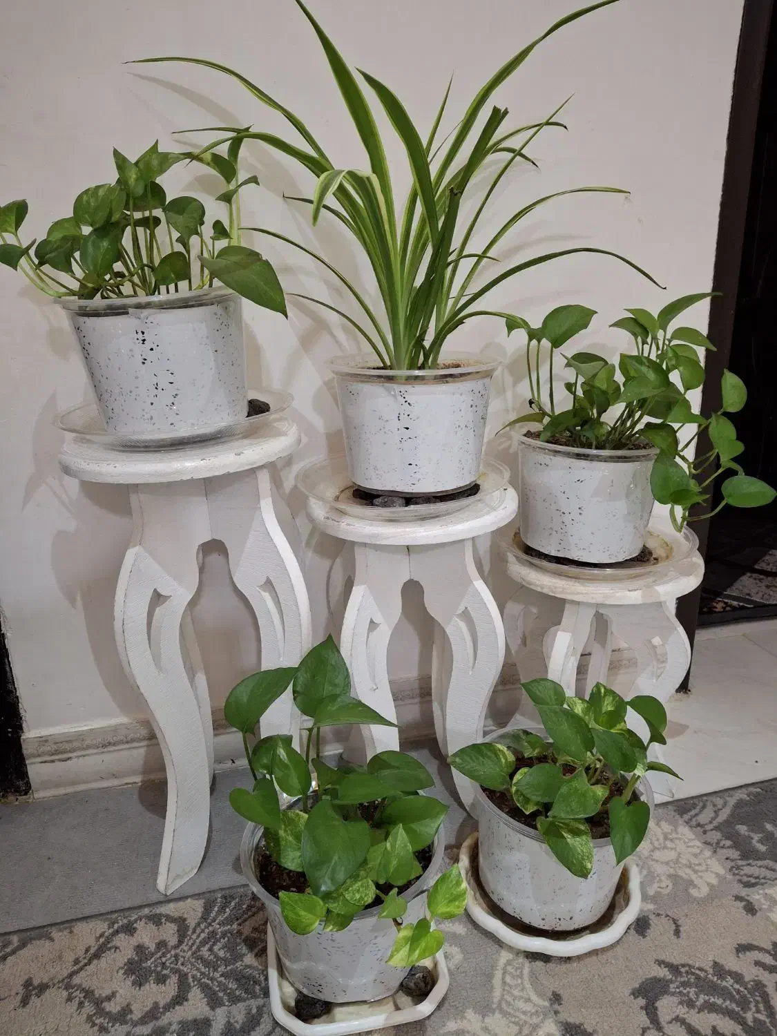 عروسک|اسباب‌‌بازی|نورآباد, |دیوار