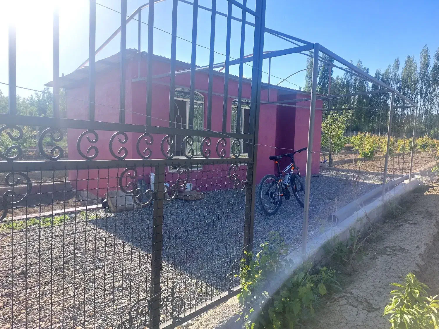 یک قطعه باغ میوه زرد آلو|فروش خانه و ویلا|سلماس, |دیوار