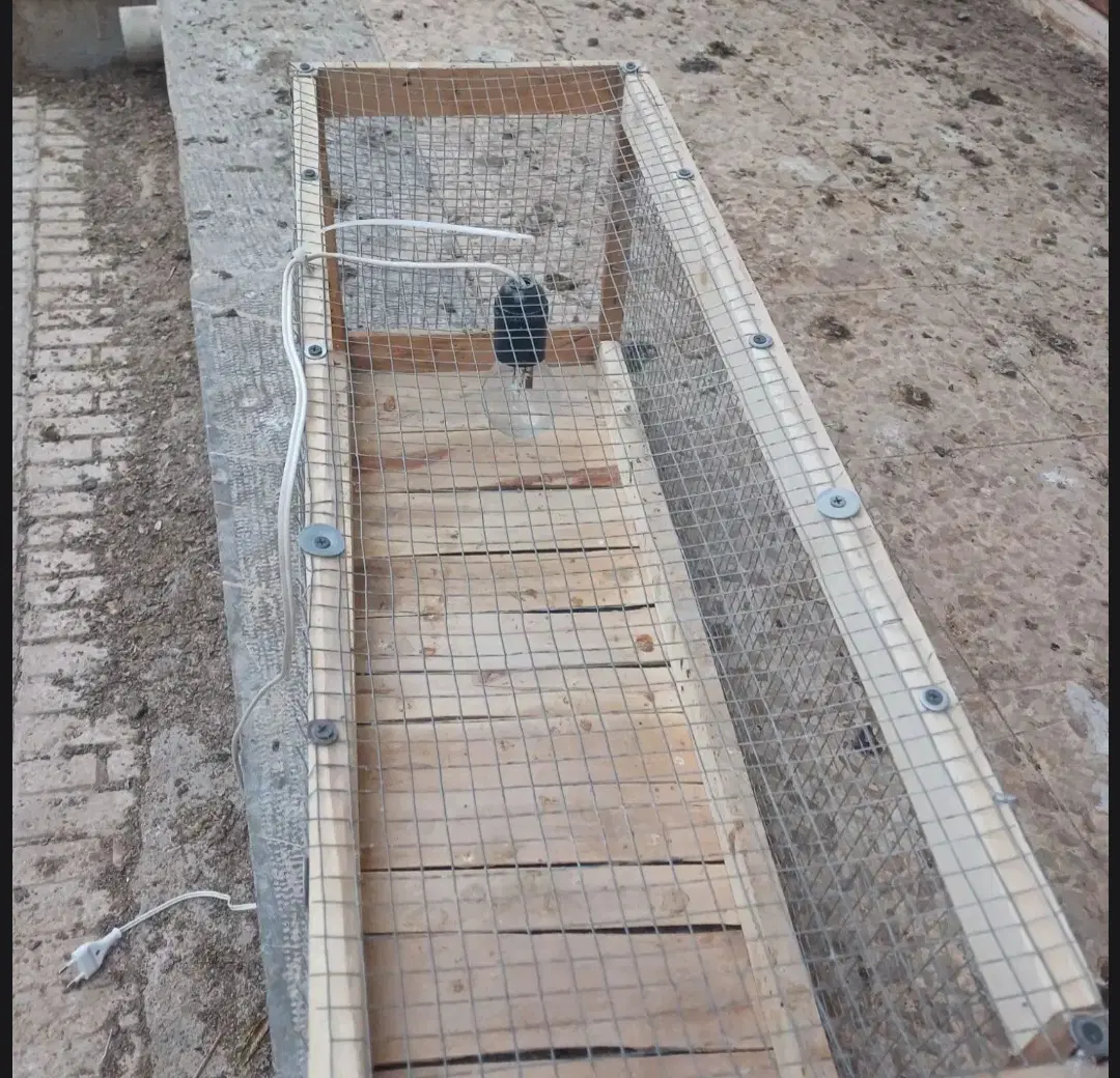 قفس چوبی|لوازم جانبی حیوانات|برخوار, |دیوار