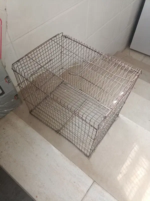 قفس پرنده|لوازم جانبی حیوانات|کازرون, |دیوار