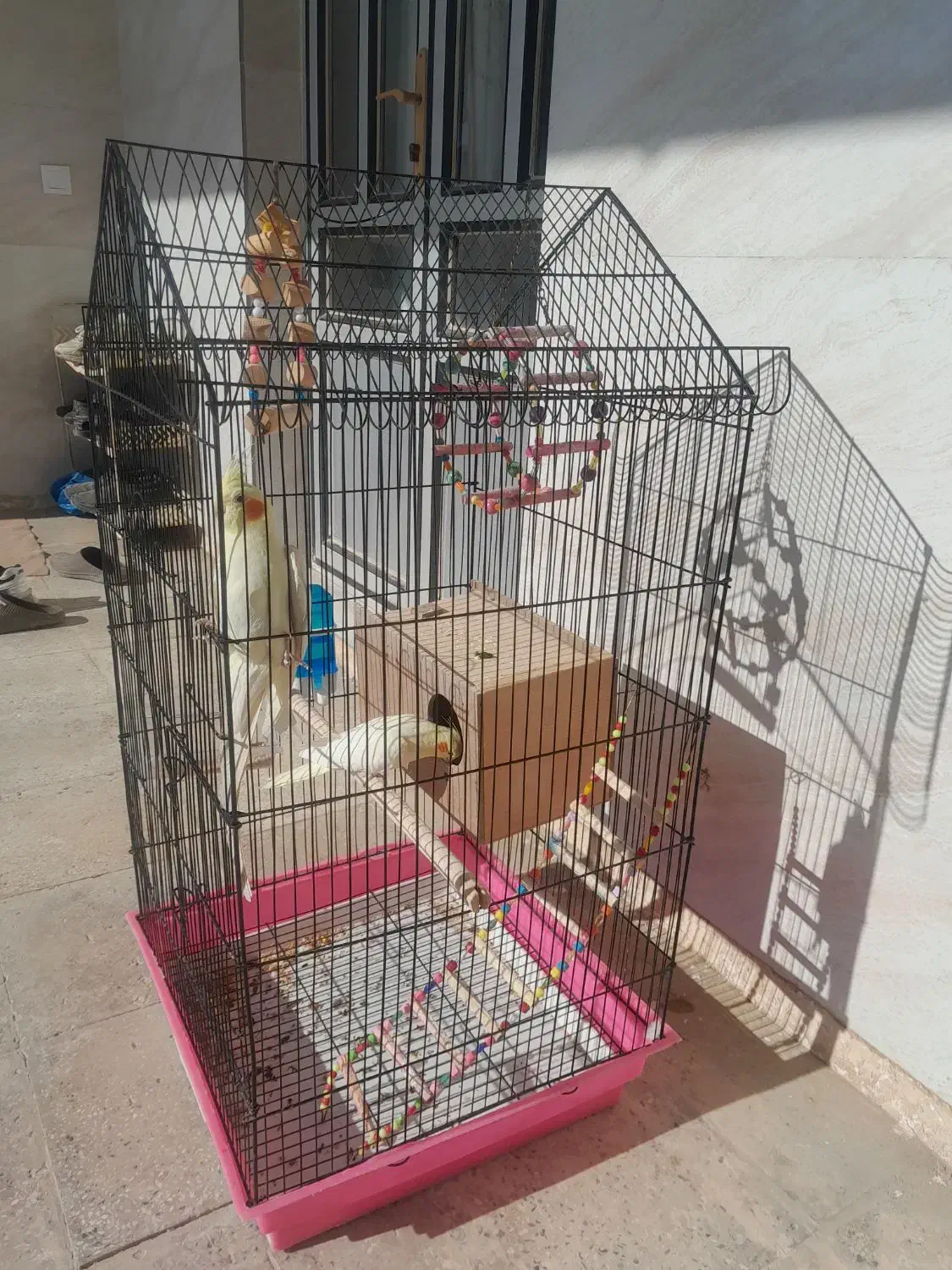 یه جفت عروس هلندی همراه قفس|پرنده|کبودرآهنگ, |دیوار