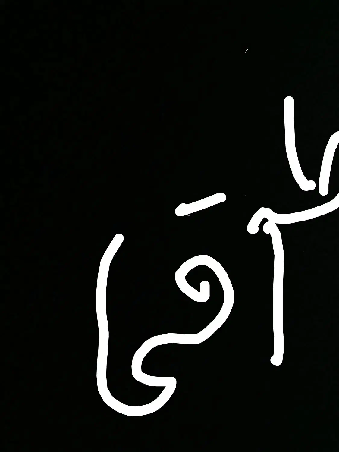 طوقی|پرنده|سرایان, |دیوار