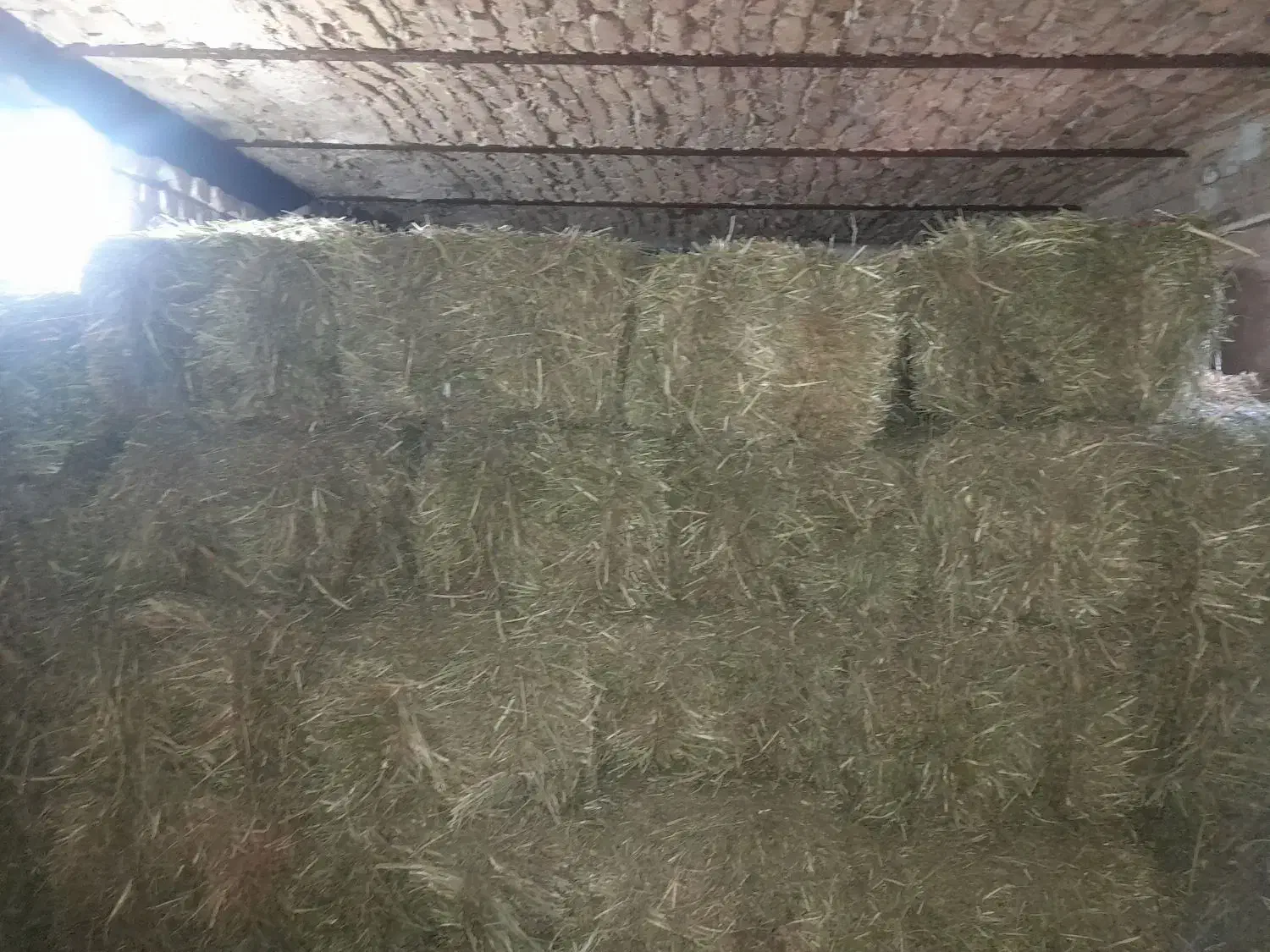 پرس شبدر|لوازم جانبی حیوانات|بروجرد, |دیوار