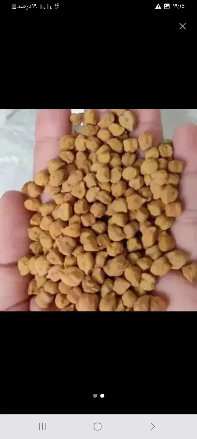 نخود قرمز|خوردنی و آشامیدنی|بستان آباد, |دیوار