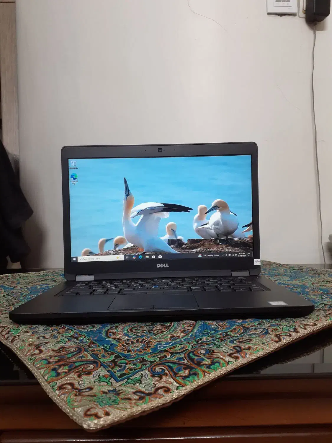 لپ تاپ دل|رایانه همراه|کرج, دهقان ویلا|دیوار