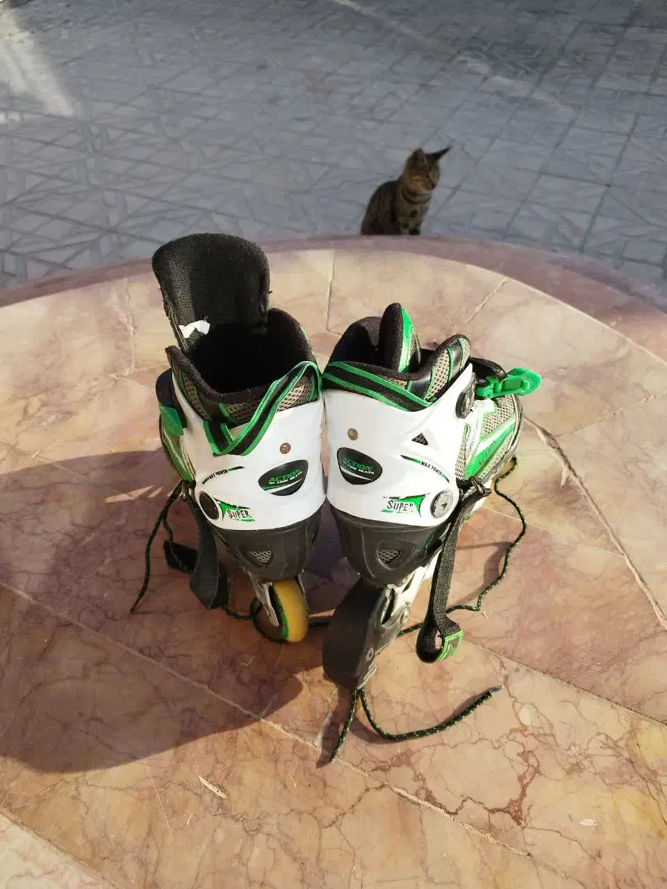 اسکیت اکشن چرخ ژله ای|دوچرخه، اسکیت، اسکوتر|قزوین, |دیوار