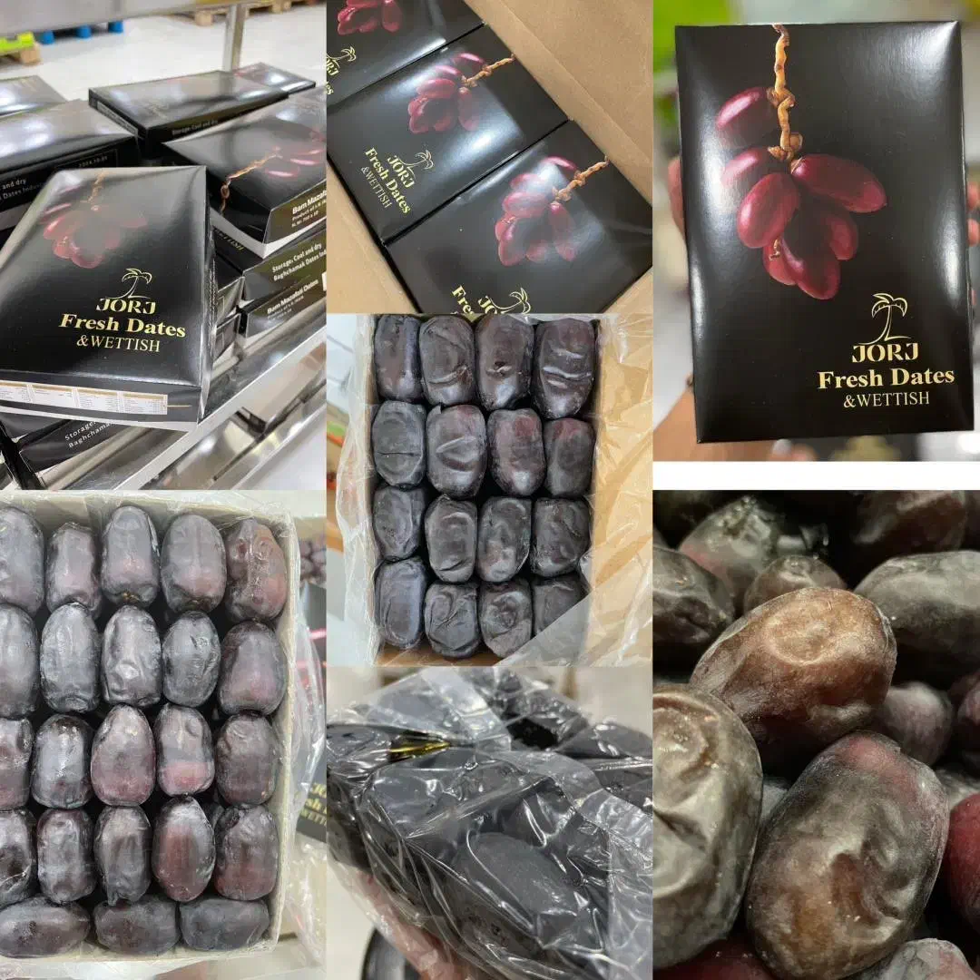 خرمای مضافتی بم دارای Global G.A.P و Organic|خوردنی و آشامیدنی|بم, |دیوار