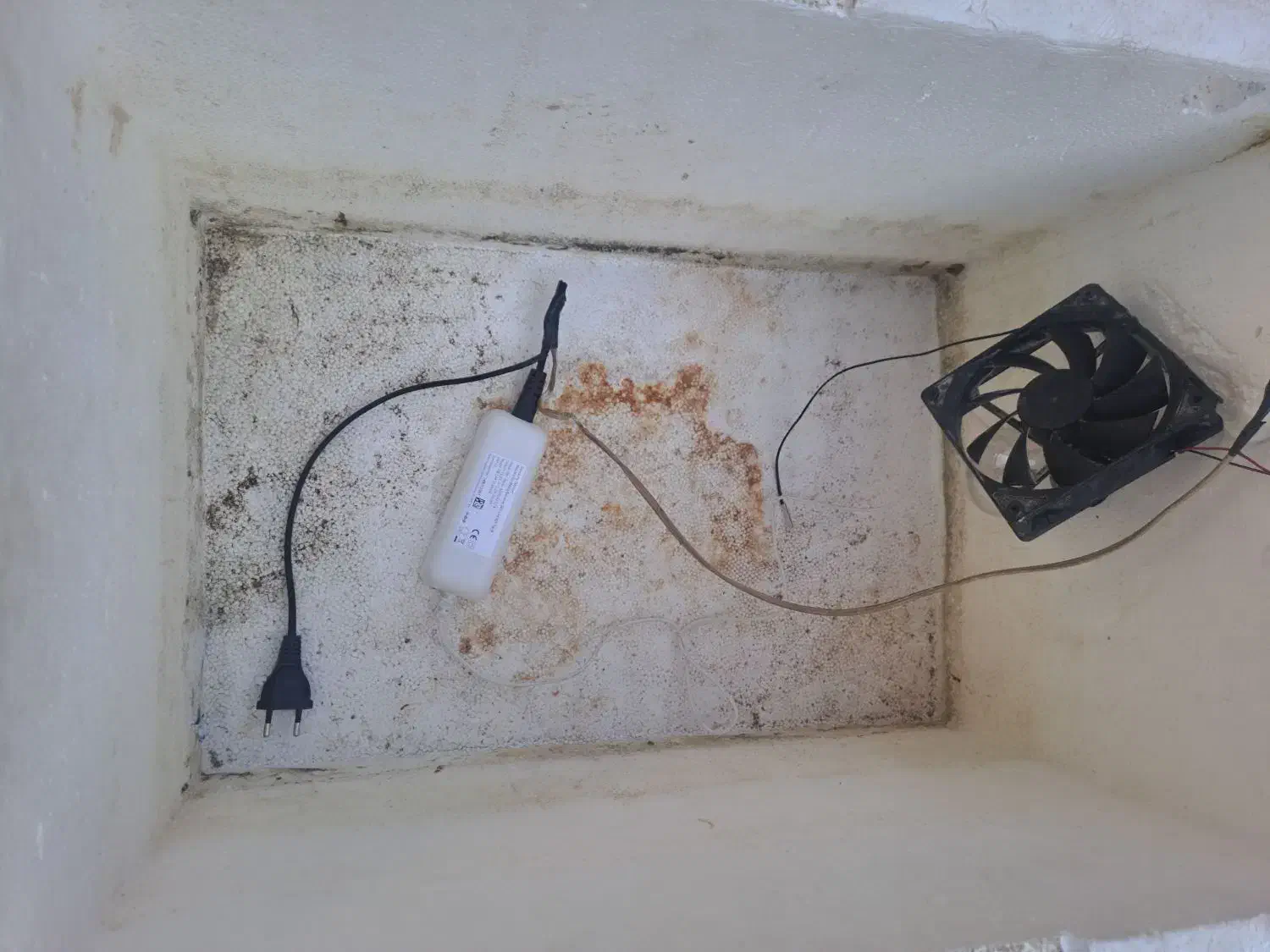 دستگاه جوجه کشی سالم|لوازم جانبی حیوانات|کاشان, لتحر|دیوار