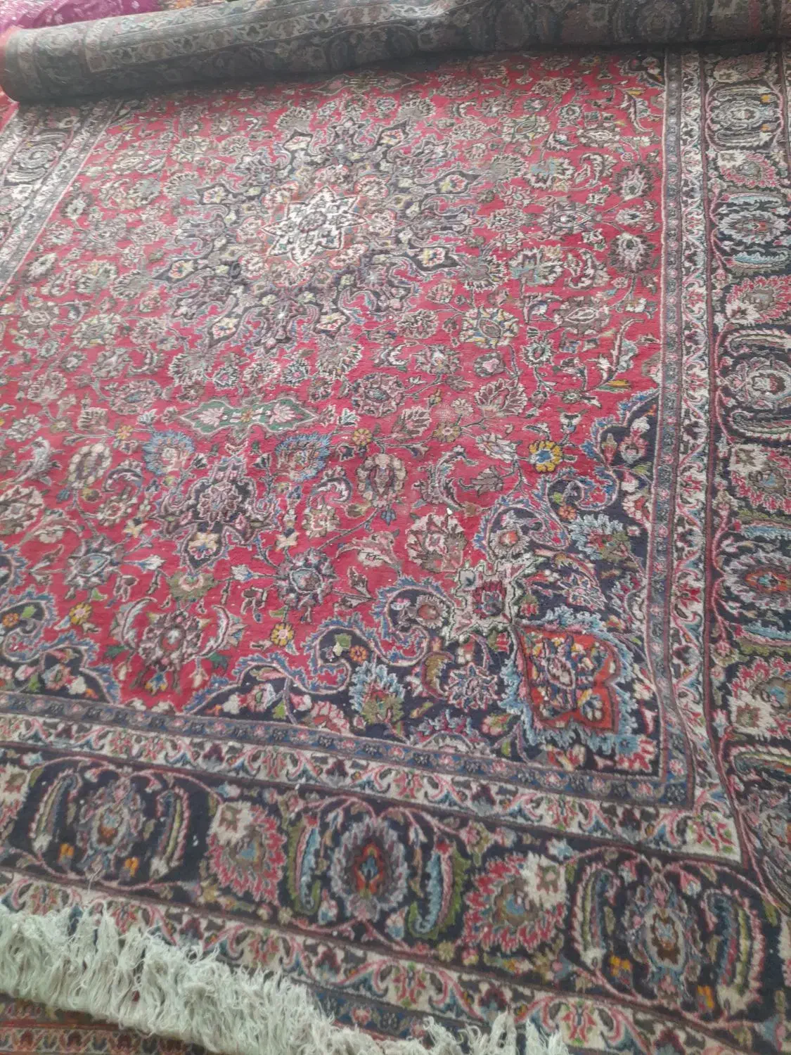 فرش دست بافت۱۲متری|فرش|مراغه, |دیوار