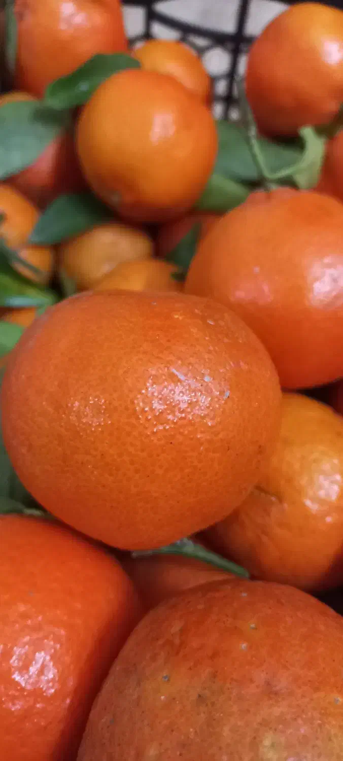 کرماتین پیوندی شیرین در حد|خوردنی و آشامیدنی|آشخانه, |دیوار