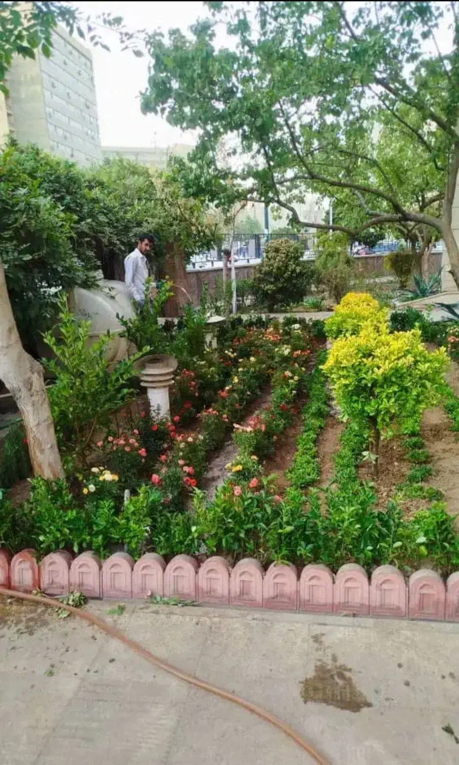 خدمات باغبانی درخت کاری باغچه کاری تعویض خاک گلدون|خدمات باغبانی و درختکاری|تهران, ستارخان|دیوار