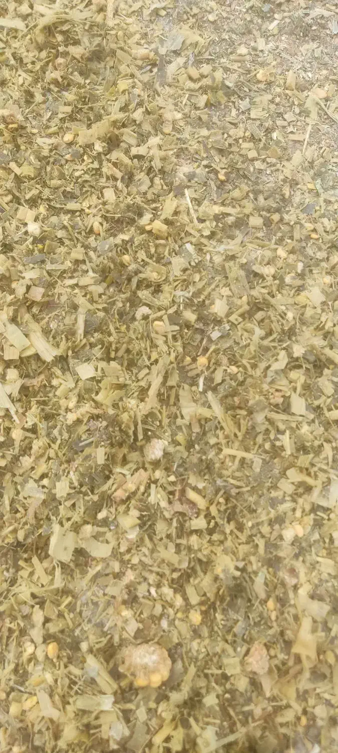 ذرت علوفه پر دان درجه یک|حیوانات مزرعه|چهاربرج, |دیوار