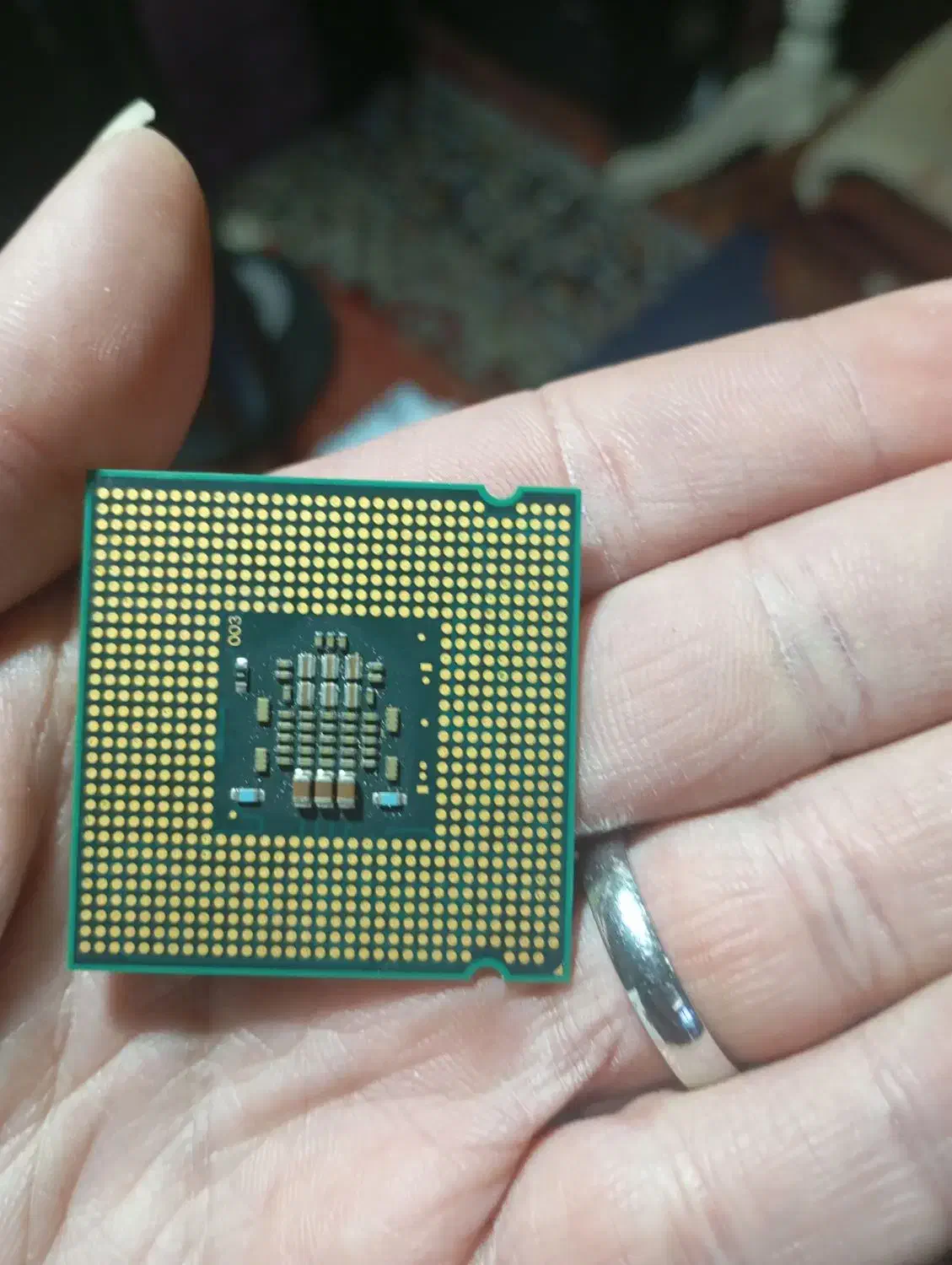 CPU INTEL|قطعات و لوازم جانبی رایانه|ساری, |دیوار