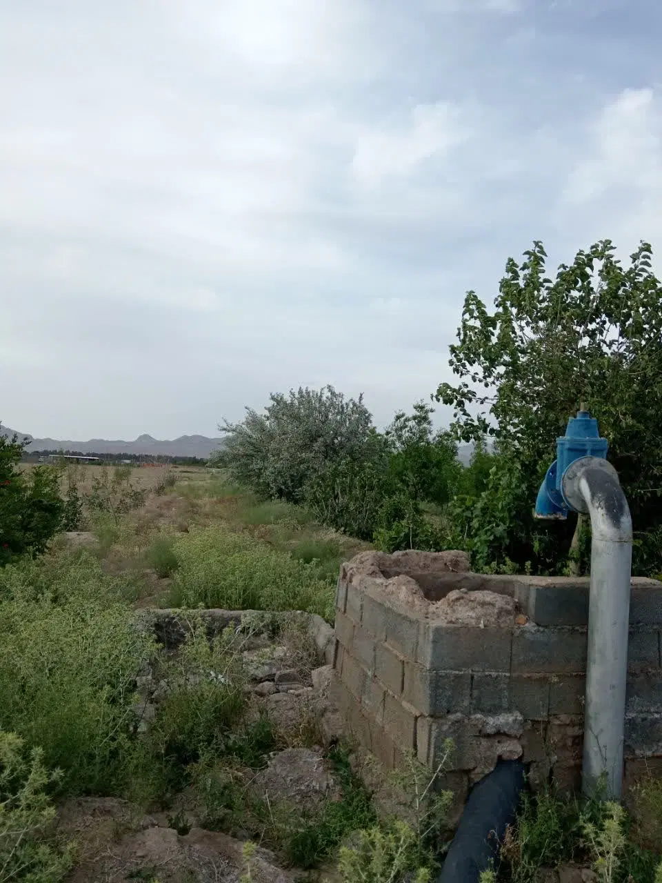 تصویر 2