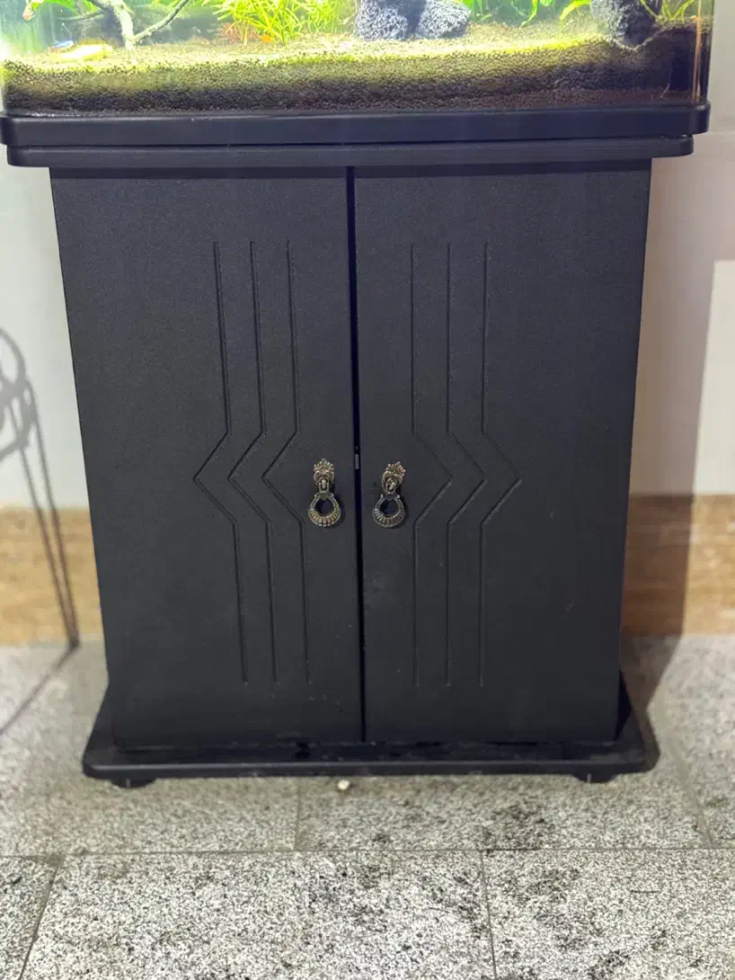 اکواریوم شرکتی پلنت گیاهی|ماهی|مشهد, رضاشهر|دیوار