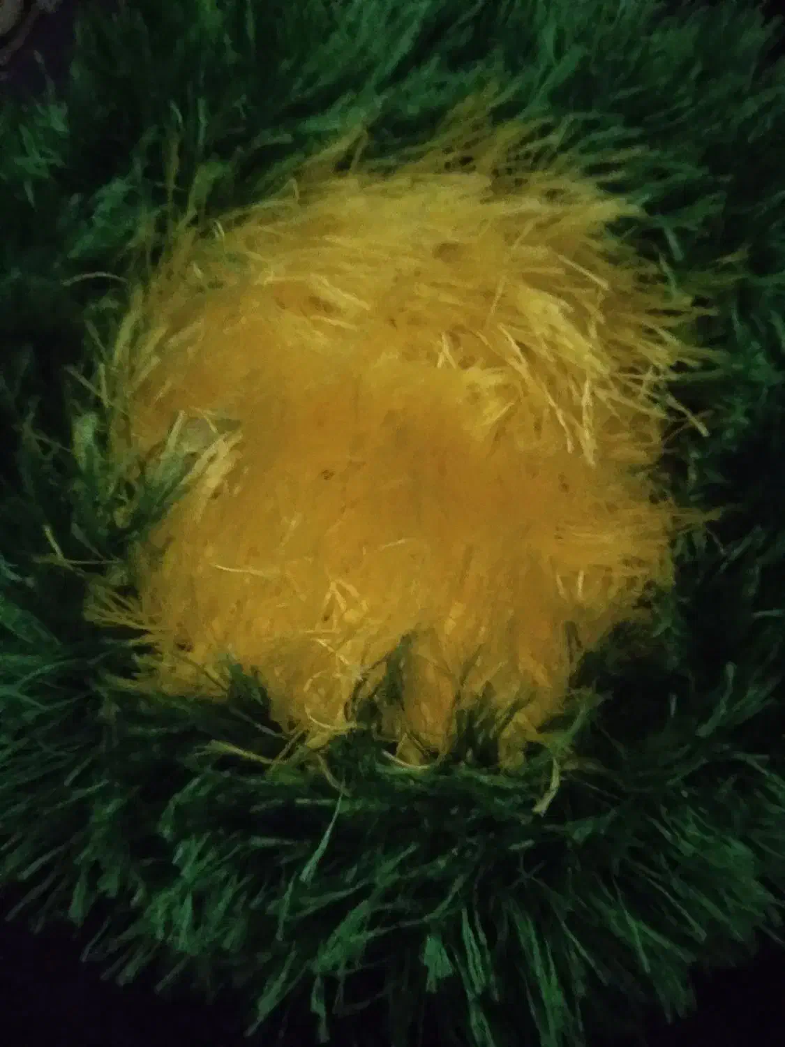 اسکاج|لوازم نظافت|خرم‌آباد, |دیوار