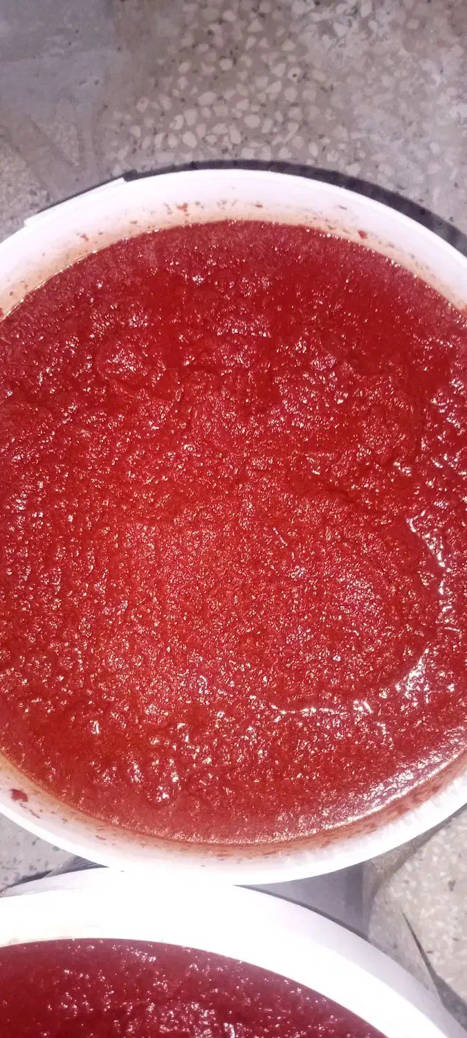رب گوجه خانگی|خوردنی و آشامیدنی|شیراز, سیاه سنگ|دیوار