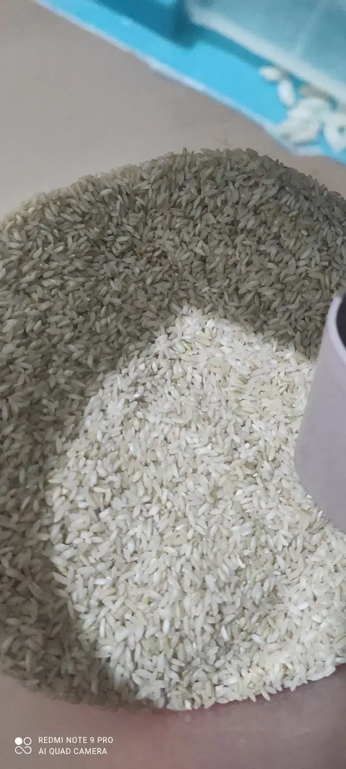 برنج چمپا یاسوج|عمدهفروشی|بندر گناوه, |دیوار