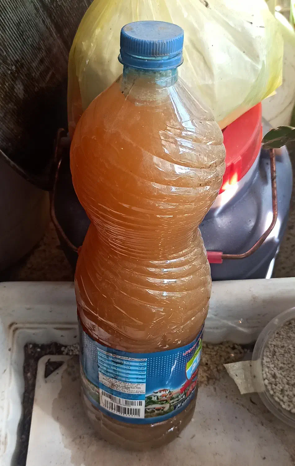 آبغوره امساله|خوردنی و آشامیدنی|رشت, یخسازی|دیوار