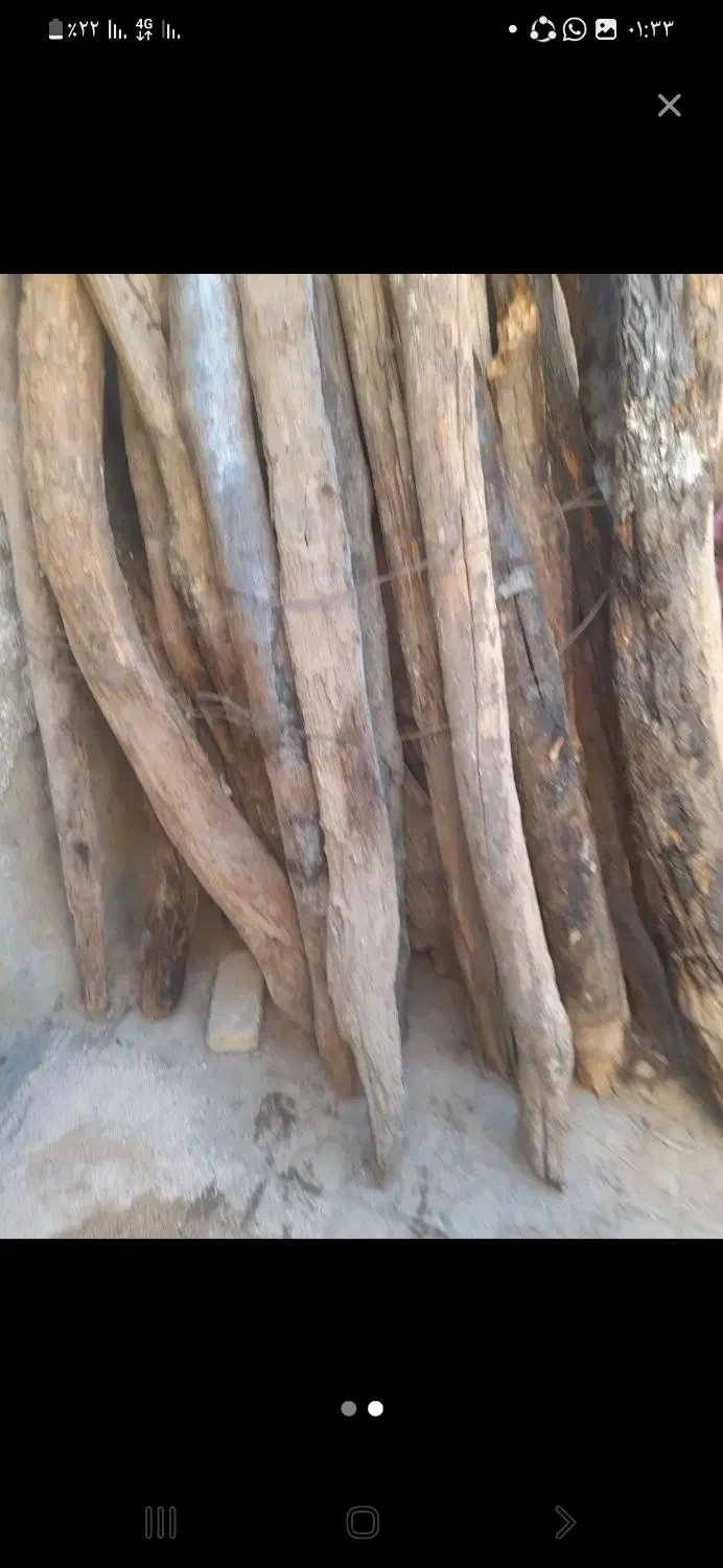 خریدار چوب|خدمات باغبانی و درختکاری|شیراز, تندگویان|دیوار
