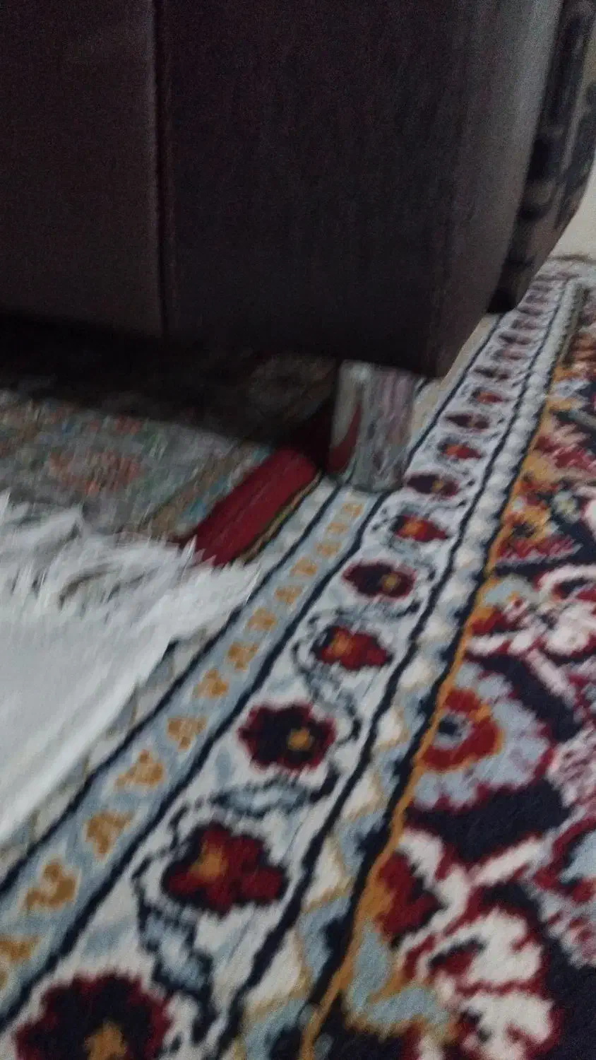 مبل هفت نفره|مبلمان خانگی و میز عسلی|گنبد کاووس, |دیوار
