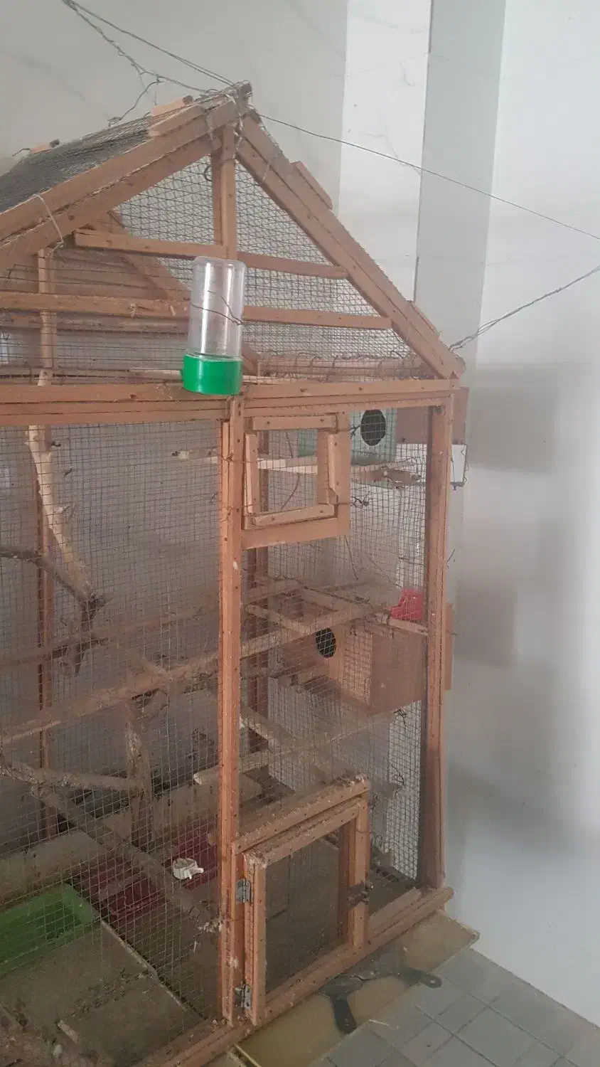 فروش فوری قفس چوبی بزرگ|لوازم جانبی حیوانات|بوشهر, |دیوار