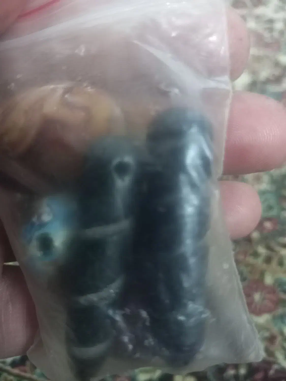 انگشتر|کلکسیون اشیاء عتیقه|زاهدان, |دیوار