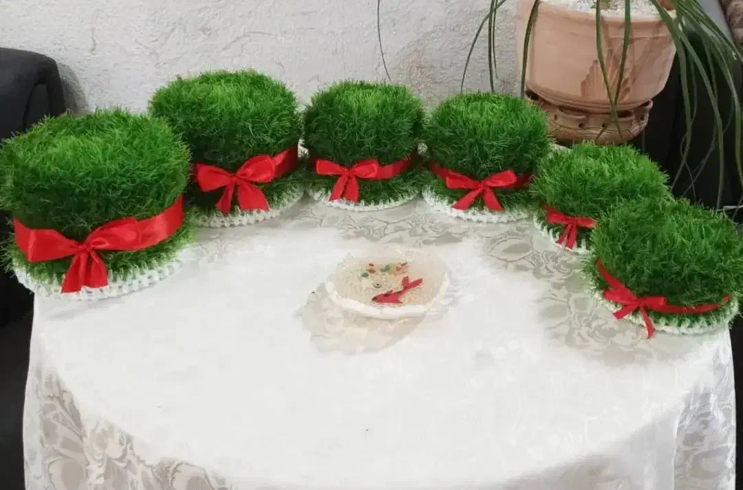 سبزه عید|گل و گیاه طبیعی|گنبد کاووس, |دیوار