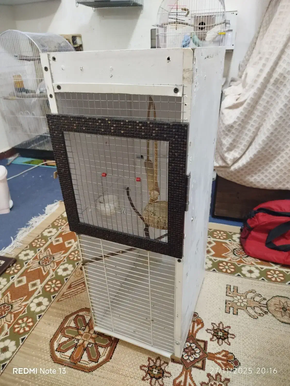 قفس چوبی دست ساز مناسب برای مرغ عشق و فنچ و قناری|لوازم جانبی حیوانات|سیرجان, |دیوار