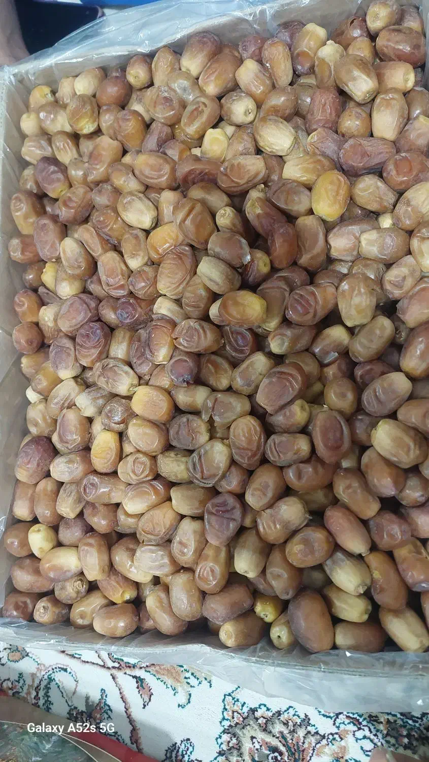 خرما زاهدی صادراتی|خوردنی و آشامیدنی|ری, شهرک نظامی|دیوار