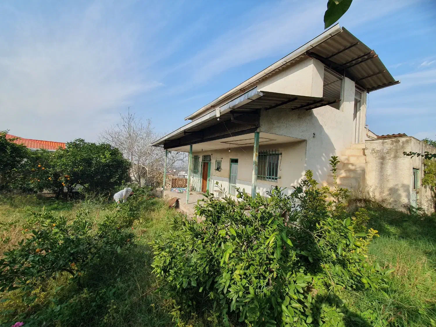 زمین و ویلا در بافت مسکونی|فروش خانه و ویلا|مرزیکلا, |دیوار