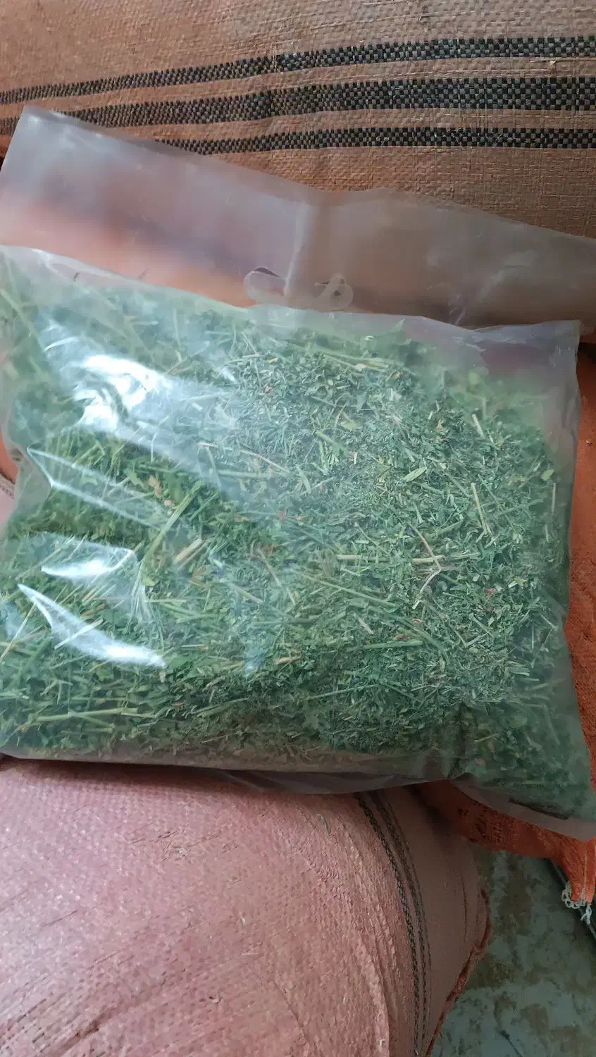 یونجه خشک|لوازم جانبی حیوانات|مشهد, منزل آباد|دیوار