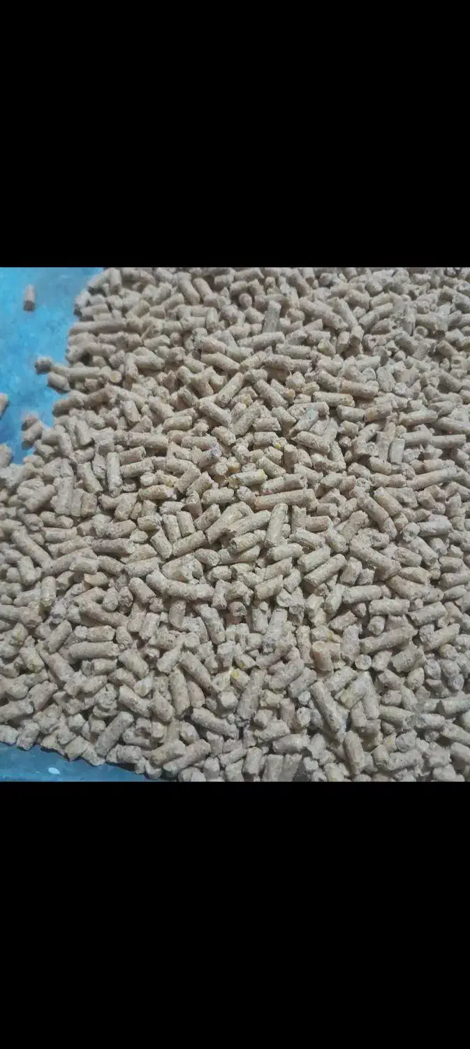 دان مرغ گوشتی و تخم گذارصنعتی(ماهی.گاو.گوسفند)|حیوانات مزرعه|رشت, احمد گوراب|دیوار