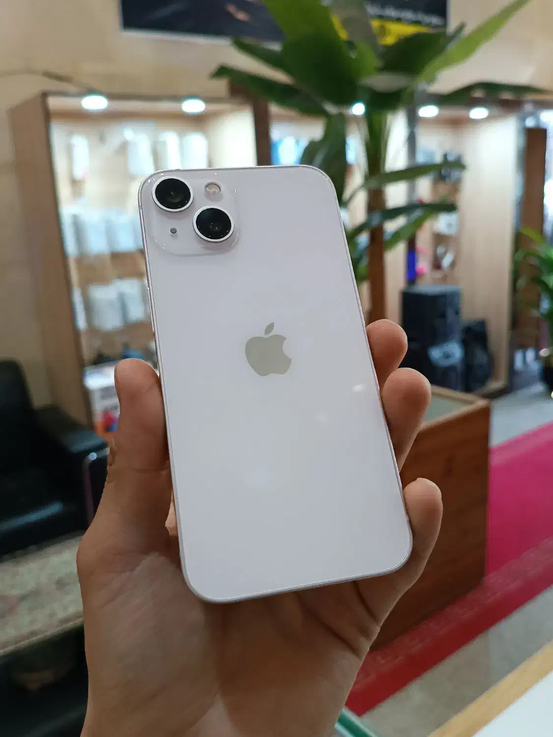 آیفون 13 صورتی|موبایل|یزد, |دیوار