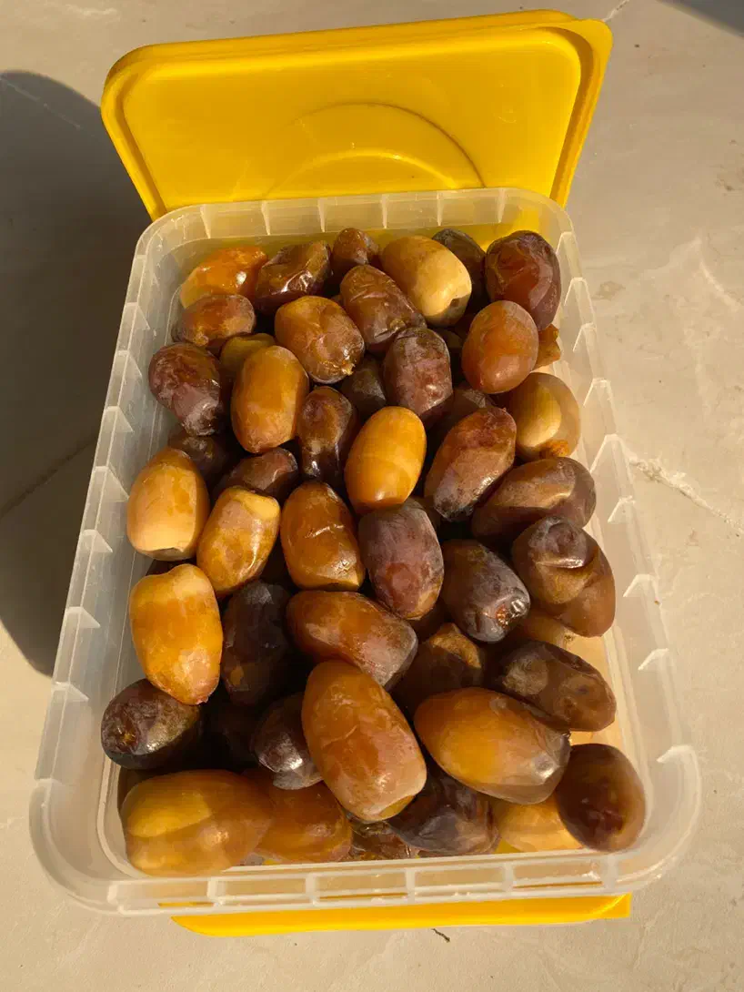 رطب عسلی|عمده‌فروشی|خشت, |دیوار