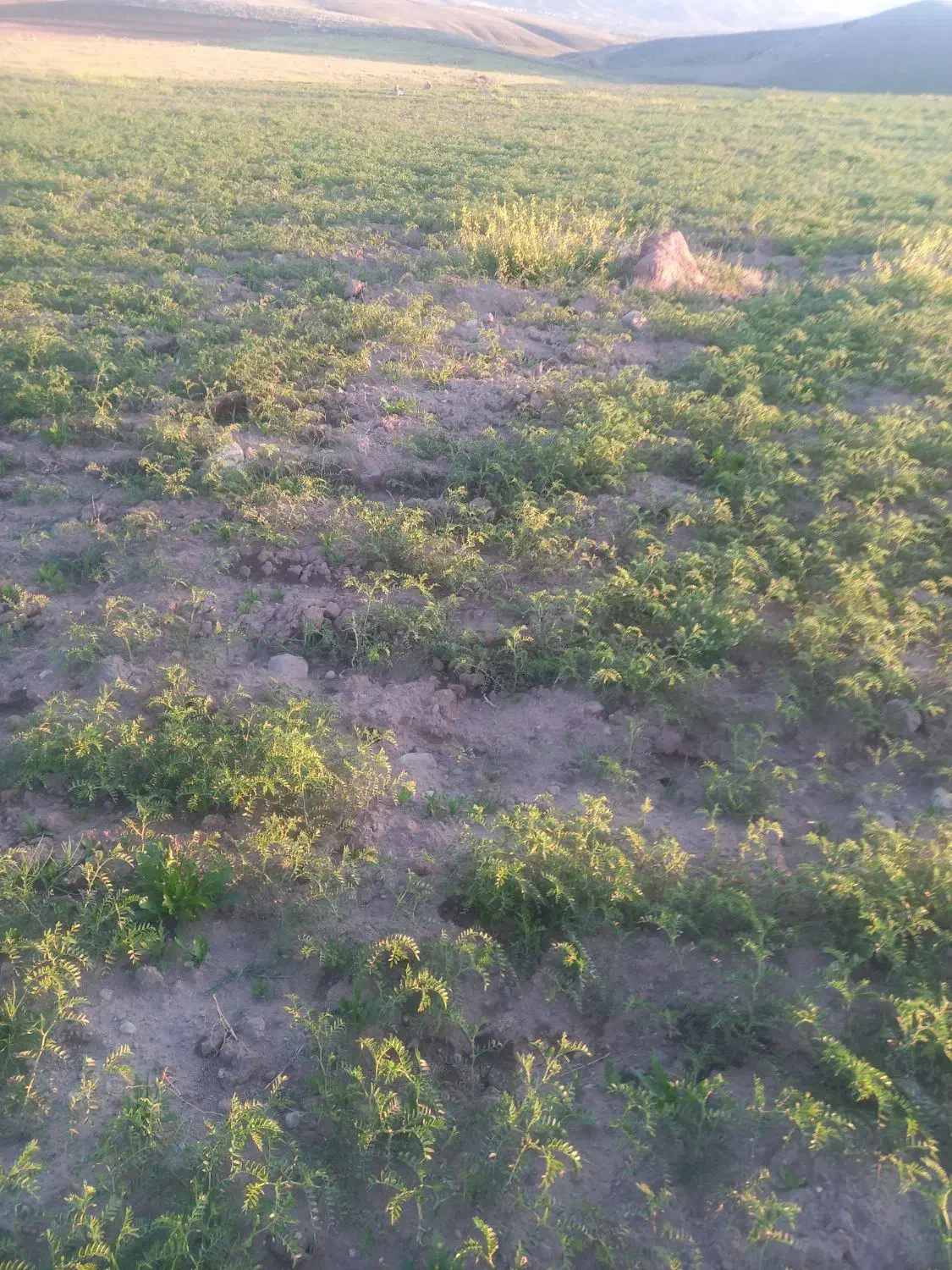 فروش قطعه زمین در اطراف سد بناب مرند|فروش دفتر صنعتی، کشاورزی، تجاری|مرند, |دیوار