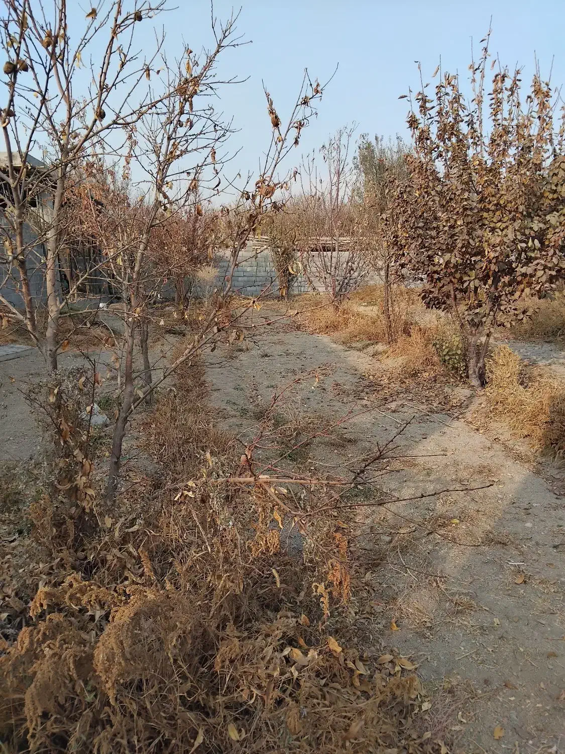 معاوضه زمین با ماشین شاسی بلند|فروش زمین و ملک کلنگی|ابریشم, |دیوار