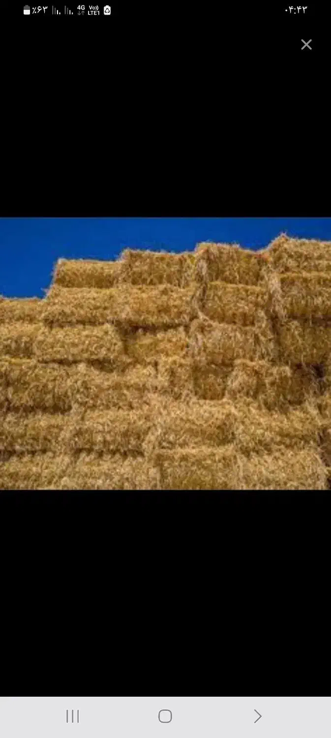 کاه وکلش ویونجه|لوازم جانبی حیوانات|اردبیل, |دیوار