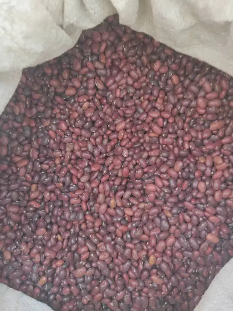 لوبیا قرمز و چیتی|خوردنی و آشامیدنی|اصفهان, سرشبادران|دیوار