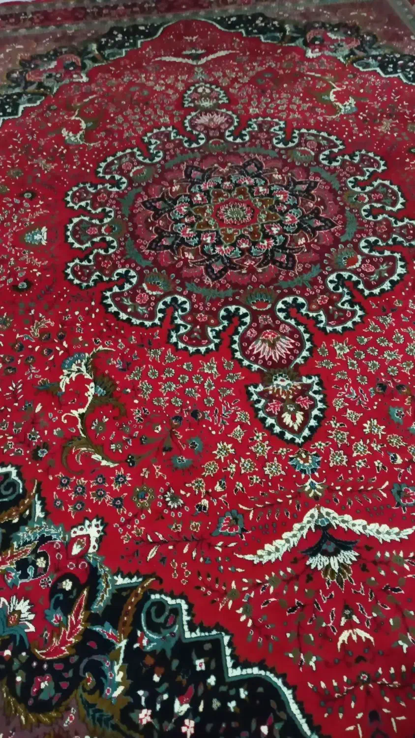 قالی فروشی|فرش|سنندج, |دیوار