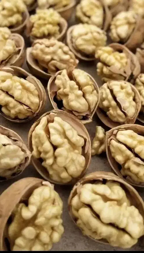 مغز سفید امسال|خوردنی و آشامیدنی|تهران, چیتگر جنوبی|دیوار