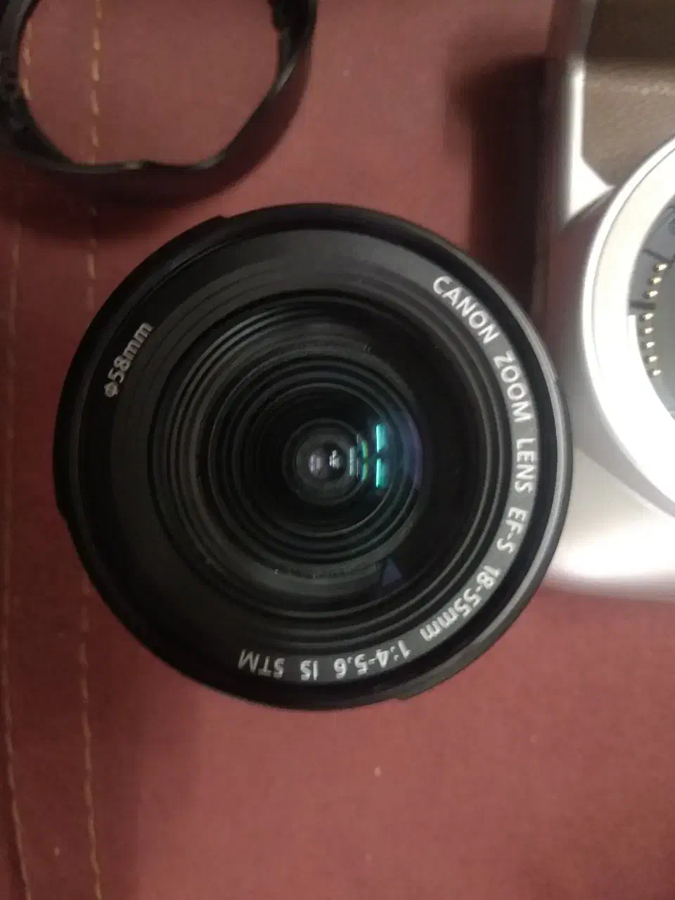 cannon 250D|دوربین عکاسی و فیلم‌برداری|تهران, چوب تراش|دیوار