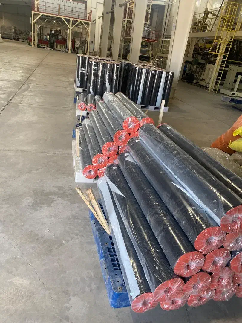 پلاستیک (مالچ)|خدمات باغبانی و درختکاری|شهر بابک, |دیوار