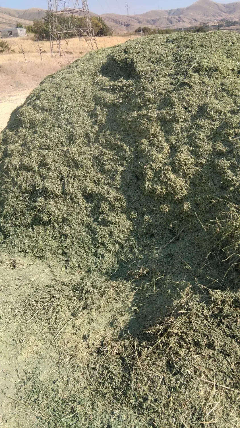 یونجه خرمن کوب درجه ۱|حیوانات مزرعه|سنندج, |دیوار