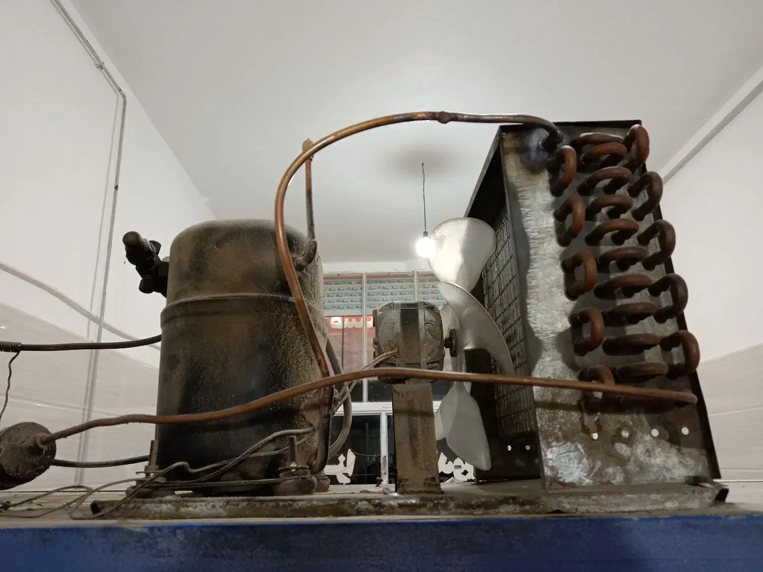 یخچال|یخچال و فریزر|قیدار, |دیوار