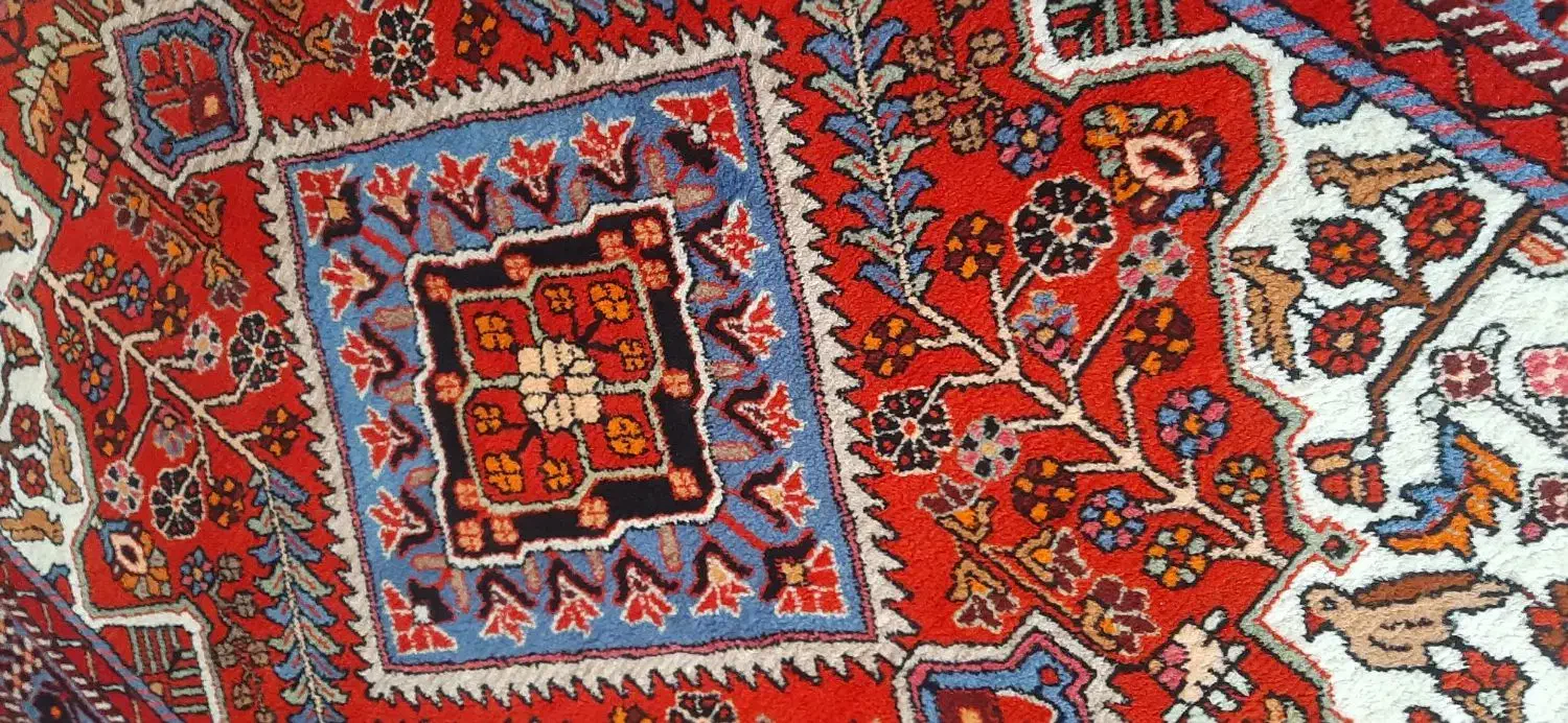 فروش قالی نقش زرامین نهاوند|فرش|همدان, |دیوار