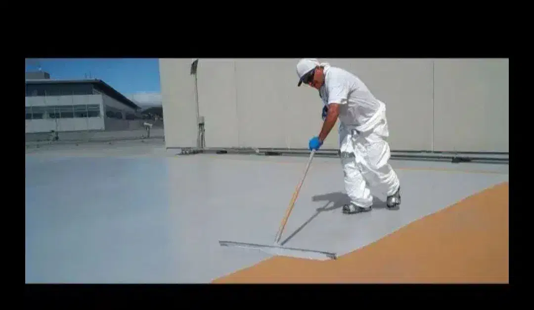 ع ا ی ق . ن ا ن و|خدمات پیشه و مهارت|خاش, |دیوار